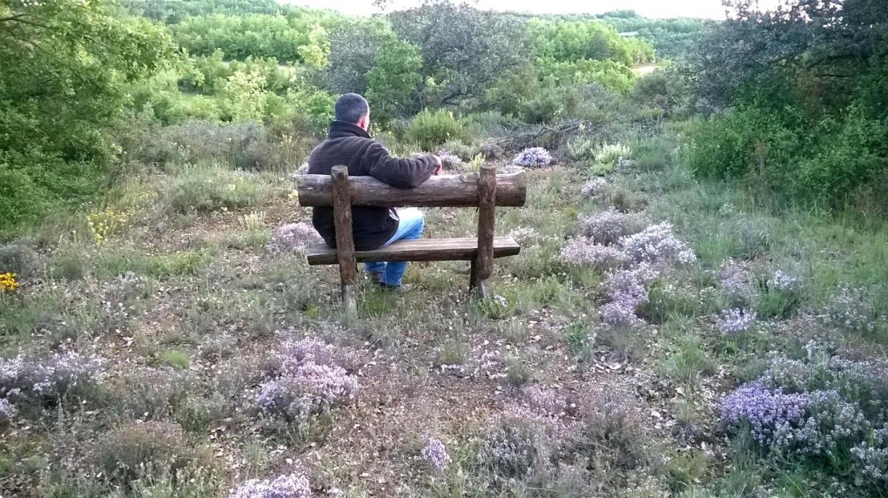 Masia Rovira Pinell de Solsones Dış mekan fotoğraf